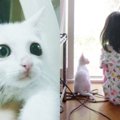 駐車場で衰弱した子猫を保護……次女が明かした“兄妹愛”に感動！