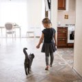 愛猫があなたの『あとをついてまわる』ときの気持ち4選　無視せず対応…