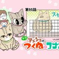 半分アメショのつくねとコナン【第95話】 「それはまるで⋯」