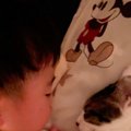 『プール一緒に行こうね』と寝る前、猫に話す男の子…ふたりの手を見て…