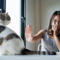 猫アレルギーはなぜおこる？後からなることも？