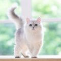 実は「大金持ち」ではないかも？　有名デザイナーの遺産を相続したは…