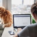 猫がいる暮らしでの『在宅ワーク』注意すべきこと3つ　実は愛猫にストレス…