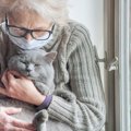 猫より先に飼い主が死んだら？飼い主が準備すべき『終活』３選