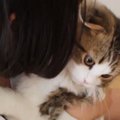 猫への愛が止まらない女の子→ぎゅーっと抱きしめると…とっても仲良しな『…