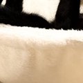 キャットタワーでくつろぐ黒猫→独特な体勢で…まるで数字のような『まさか…