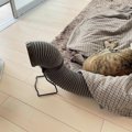 猫がいる部屋で使う『暖房器具の片付けどき』　大好きなこたつやスト…