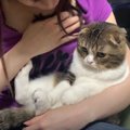 パパ猫が拗ねた！何か言いたそうな表情がかわいい猫さん！