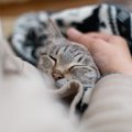 たくさんの“ありがとう”を込めて…『死期の近い愛猫』のためにやってあ…