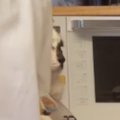 夕飯の支度中、猫を『ショッピングバッグ』に入れてみたら…あまりにも…