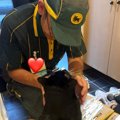 『天気が悪い日』クロネコヤマトの配達員さんを猫ちゃんがお出迎えし…