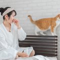 猫から『異臭』がするときに考えられる原因4つ　異常があるサイン？取…