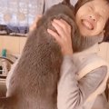 『8キロの巨大猫』がお婆ちゃんに"ジャンプ"したら…まさかの結…