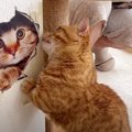 猫ちゃんのシールを貼ったら...次々と反応する猫ちゃんファミリーが可…