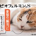 大正製薬のペット用サプリメント「にゃんビオフェルミンS」を東海地区…