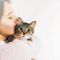 猫から『いいニオイ』がする3つのワケ　動物特有の「けもの臭」がしな…