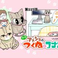 半分アメショのつくねとコナン【第115話】 「起きてよ～」