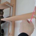 手作りキャットウォークで遊ぶ猫ちゃん！誘われるがままに最上階へ？