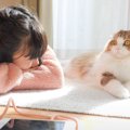 疲れ切って早退してきた娘に猫がとった行動…思わず涙してしまう『心温…