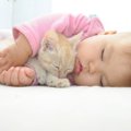 猫が『赤ちゃんと同居』する時に潜む危険3つ！飼い主ができる対策とは