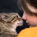 猫は『飼い主さんと他人の区別』がちゃんとできる！判別している3つのポイ…