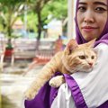 飼い主が旅行先で空爆を受け死亡…残された愛猫はどうなる？UAE