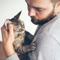 猫に『愛されていない』と感じさせる飼い主の毒親行動3つ