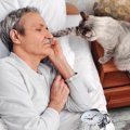 猫が飼い主を『叩き起こす』ときに使うワザ3選　困った行動への対処法…