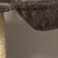 キャットタワーのハンモックを見たら、子猫が…まるでかくれんぼ中のような…