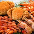 【獣医師監修】猫に甲殻類を食べさせるのはNG！エビやカニの危険性と誤食…
