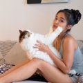 猫に嫌われてしまう『飼い主の行動』4選　信頼を失ってしまうかも？見直す…