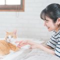 猫とのスキンシップ、足りてますか？『ふれあい不足の猫』が見せる6つ…