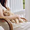 愛猫を『抱っこ大好き♡』にするための方法4選　安心してもらえる抱き方と…