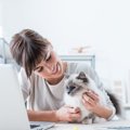 猫に『懐いてもらえない残念な人』に共通する5つのこと　無理に仲良く…