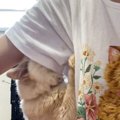 飼い主さんの『脇の下』が好きすぎる猫…想像を超える『まさかの光景』…