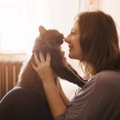猫と人間の間で感染する『人獣共通感染症』4つ　表れる症状や避けるべき行…