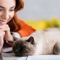 『猫が懐きやすい声』を持つ人の3つの特徴　マネをすれば猫が自然と寄…