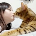 『凶暴な噛みつき猫』に唯一触ることが許されている4歳の少女…尊すぎ…