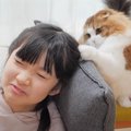 『ほっこり』猫が女の子の髪で遊び初めた結果…やり取りの様子が微笑ま…