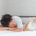 愛猫からどのくらい愛されてる？『愛されレベル』がわかる項目4つ！