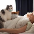 飼い主さんが猫の体調不良の原因に？『人から猫に感染する病気』3つ