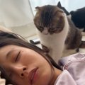 『二度寝するママ』を起こしたい猫→奮闘した結果…まさかの展開が可愛…