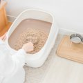 猫の『おしっこ』をチェックするときのポイント5つ　注意すべきサイン…