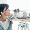 猫との暮らしで人生が変わる！？4つの変化したことや新しい発見も！