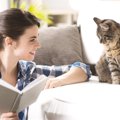 猫にとって『理想的な飼い主』になるための心構え3つ