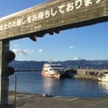 都内からのアクセスも◎！猫の楽園『初島』をリポート