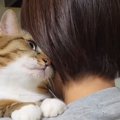 家族で順番に『ネコを抱っこ』した結果…『父と次男への反応』が面白すぎる…