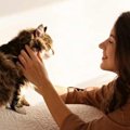 猫にとって『ずっと一緒』は危険？3つのワケと適切な距離感とは