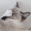 在宅勤務をしている夫から連絡が来て…見てみた結果→思わず帰りたくなった…