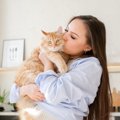 猫が『ご機嫌』なときにするサイン6選　どんなときに見られる？いい気分に…